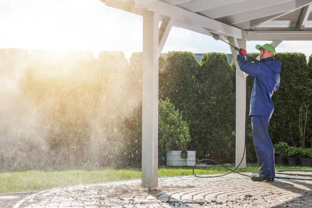 Best Fence Cleaning  in Rolesville, NC